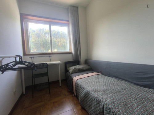 Sunny single bedroom