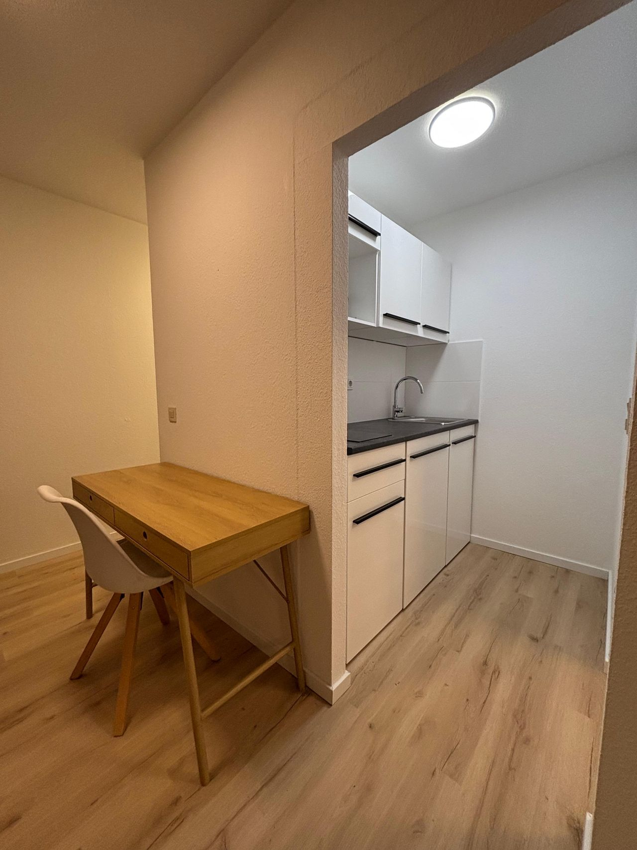 Bright and modern furnished apartment with large rooftop terrace near Saarbrücken Zoo