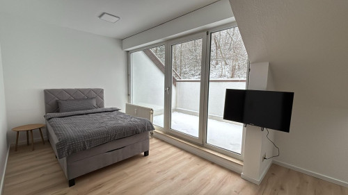Bright and modern furnished apartment with large rooftop terrace near Saarbrücken Zoo - Rooms