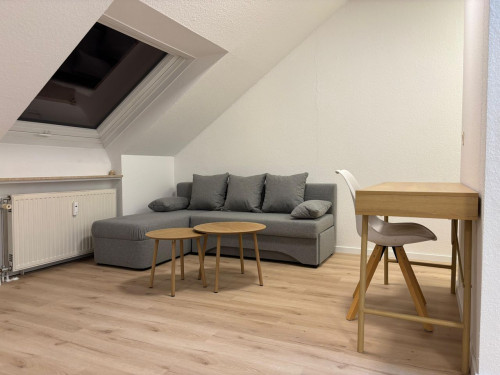 Bright and modern furnished apartment with large rooftop terrace near Saarbrücken Zoo - Gallery - 5