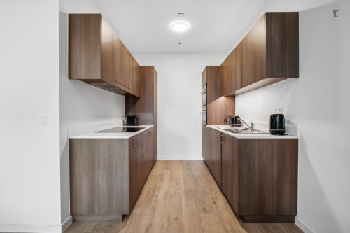 Pleasant single bedroom in a modern shared flat in a well-connected location  - Gallery - 15