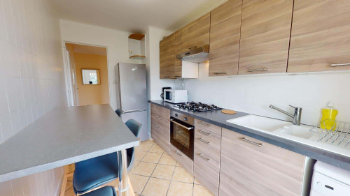Room in Avenue Pierre Brossolette, Bron for 68 m² with 4 bedrooms - Gallery - 8