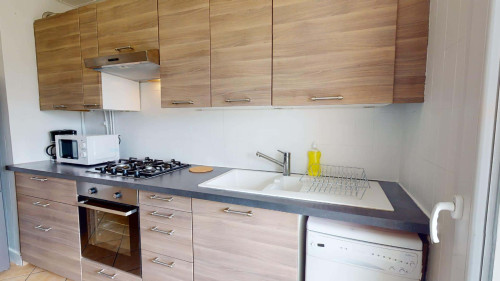 Room in Avenue Pierre Brossolette, Bron for 68 m² with 4 bedrooms - Gallery - 7