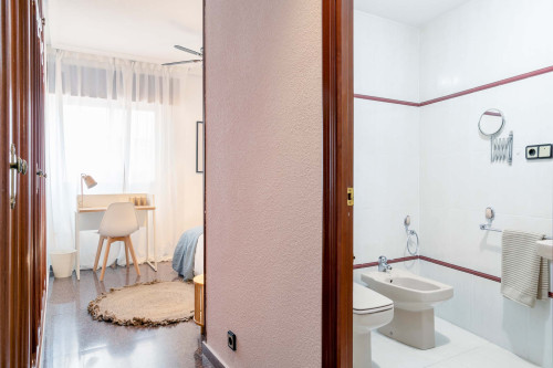 Suite 3 en San Vicente 40, Alicante
