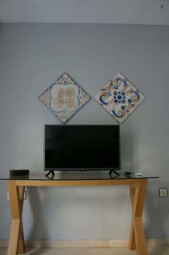 Apartment in Plaza de Santa Ana, Granada for 34 m² with 1 bedroom