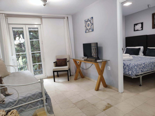 Apartment in Plaza de Santa Ana, Granada for 34 m² with 1 bedroom