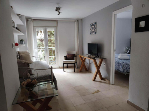 Apartment in Plaza de Santa Ana, Granada for 34 m² with 1 bedroom