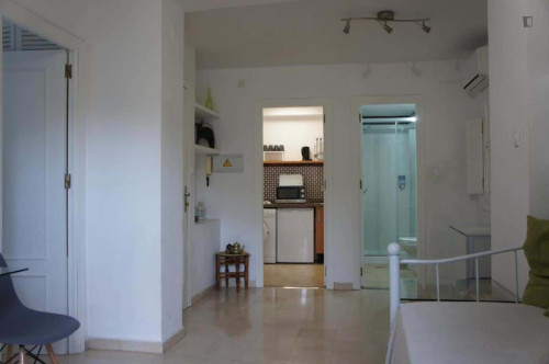 Apartment in Plaza de Santa Ana, Granada for 34 m² with 1 bedroom - Gallery - 5