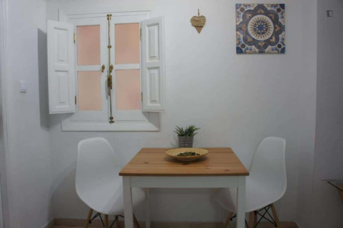 Apartment in Plaza de Santa Ana, Granada for 34 m² with 1 bedroom - Gallery - 8