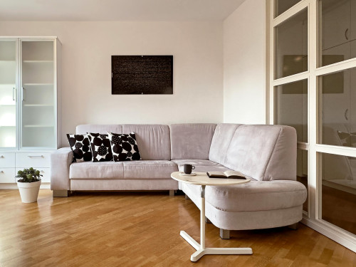 Kotnikova ulica, Ljubljana - Gallery - 10