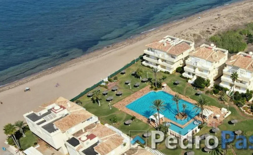 Camí Assagador del Palmar, Alicante
