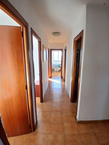 Beautiful single bedroom in a 5 bedroom apartment - Gallery - 11