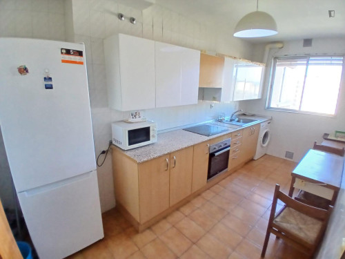 Beautiful single bedroom in a 5 bedroom apartment - Gallery - 5