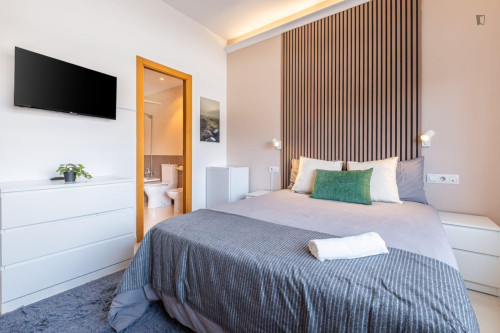 Excellent double ensuite bedroom in Benalua