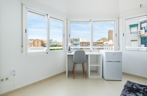 Ample double bedroom near the Alicante train station