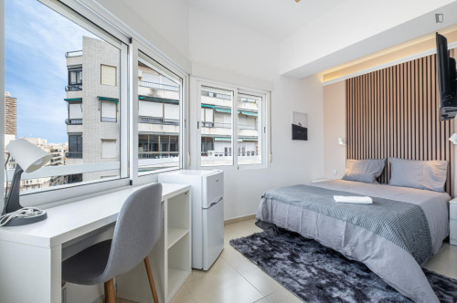 Ample double bedroom near the Alicante train station