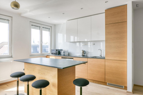 Cozy 1-bedroom flat close to the Vienna University of Economics and Business - Gallery - 9