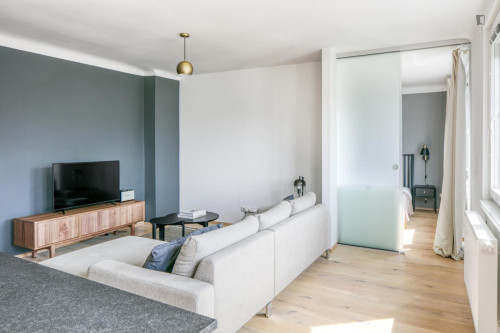 Cozy 1-bedroom flat close to the Vienna University of Economics and Business - Gallery - 7