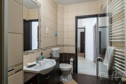 Váci utca, Budapest - Gallery - 9