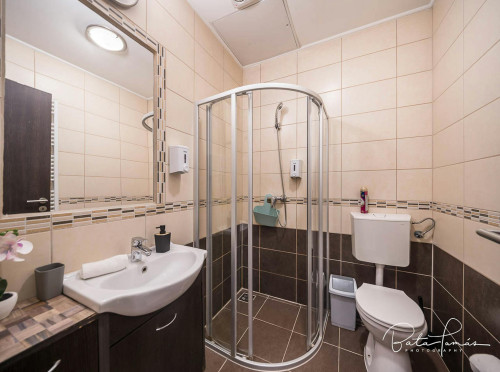 Váci utca, Budapest - Gallery - 5