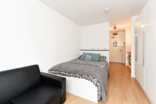 Eastern Boulevard  - Gallery -  5