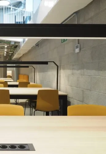 micampus San Mamés - Gallery - 12