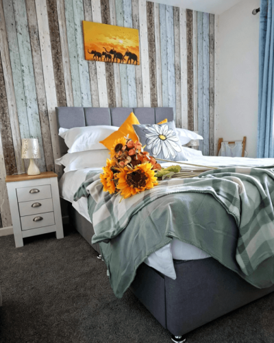 Luxury Quiet Room Near Torbay Hospi