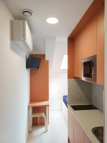 Splendid studio in Montes Claros