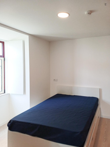 Welcoming studio near the Montarroio bus stop