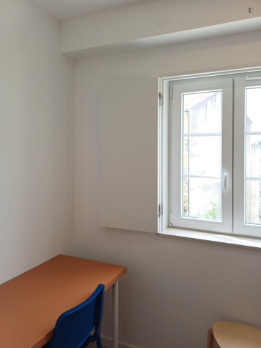 Snug studio near the Montarroio bus stop