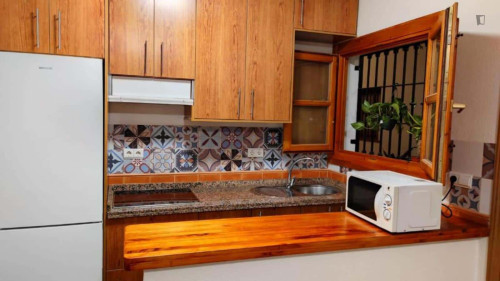 Apartment in Calle Belén, Granada for 52 m² with 1 bedroom - Gallery - 5