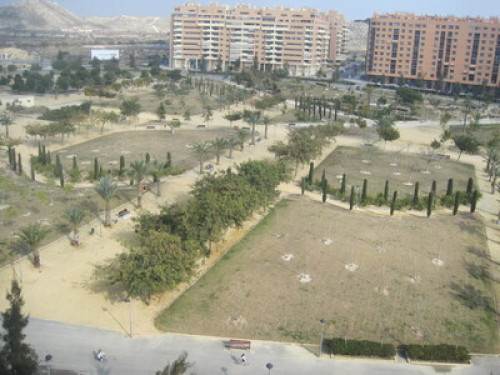 I OFFER ROOM IN ALICANTE - Gallery - 7