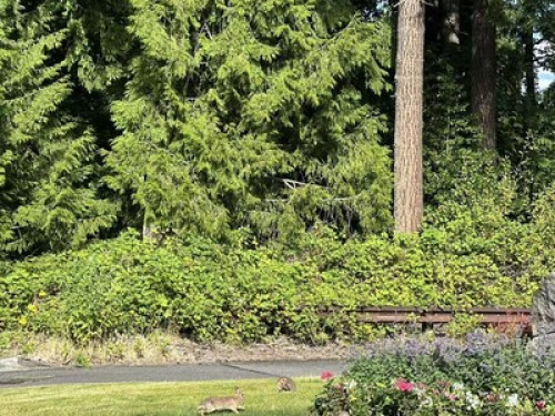 Private Suite in Issaquah  - Gallery - 11