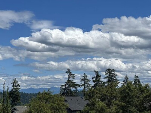 Private Suite in Issaquah 