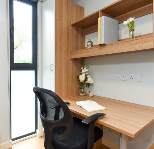  Tower Studio Platinum Plus  -  The Summit  - Gallery -  2