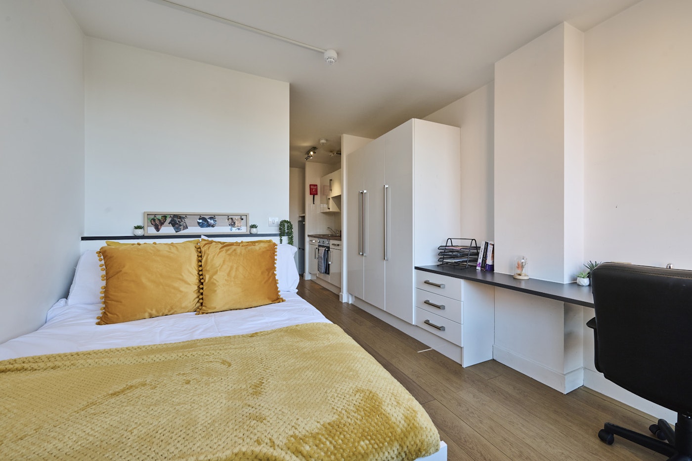  Studio Silver Plus  -  Upperton Road  - Gallery -  2