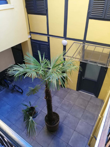 Room in Rue Emile Guichenné, Pau for 84 m² with 4 bedrooms - Gallery - 4