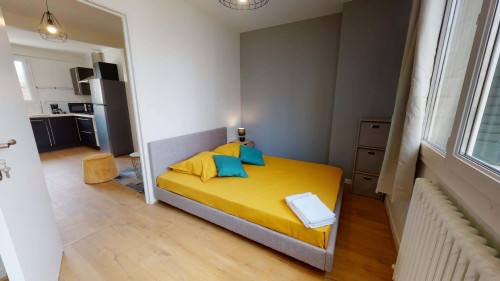 Room in Rue de la Moselle, Lyon for 68 m² with 4 bedrooms