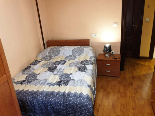 Room in Paseo de San Vicente, Salamanca with 5 bedrooms