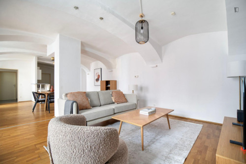 Comfy 1-bedroom flat near the Schottenring subway station