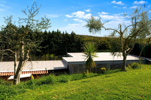 Apartment 300m from Lago di Martignano - Gallery - 5