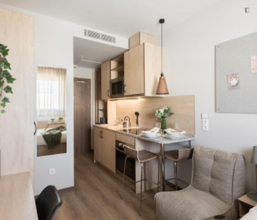 Delightful single bedroom in Ibatea - Gallery - 26