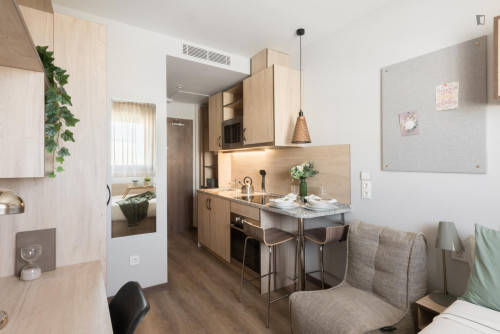 Delightful single bedroom in Ibatea - Gallery - 31