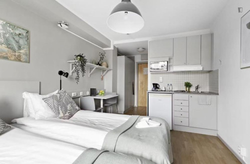 Bright and comfy studio in Alvik