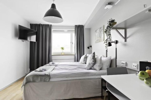 Bright and comfy studio in Alvik