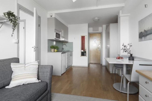 Pleasant 1-bedroom apartment in Alvik