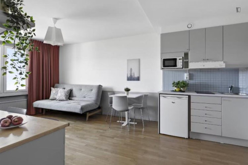 Pleasant 1-bedroom apartment in Alvik