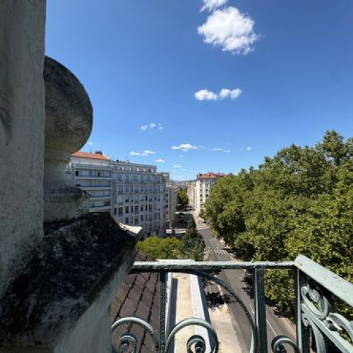 Studio – View of Parc de la Tête d'Or Belges – Lyon 6th