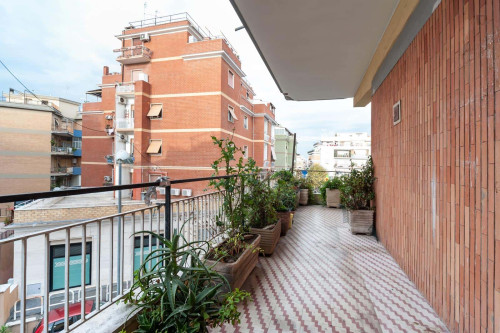 Room in Via di Torrevecchia, Roma for 140 m² with 3 bedrooms - Gallery - 21