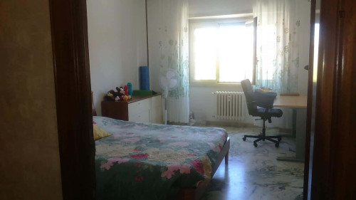 Room in Via di Torrevecchia, Roma for 140 m² with 3 bedrooms - Gallery - 5
